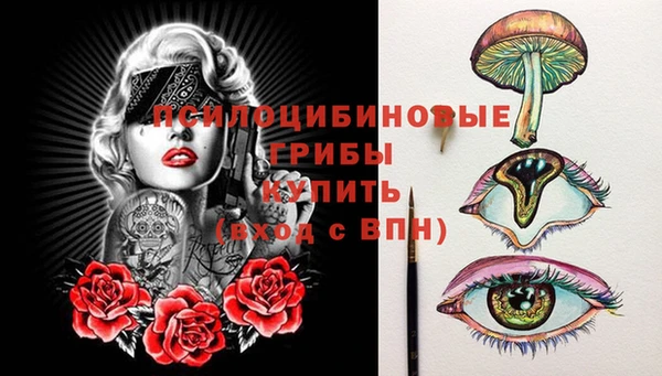 стаф Алексеевка