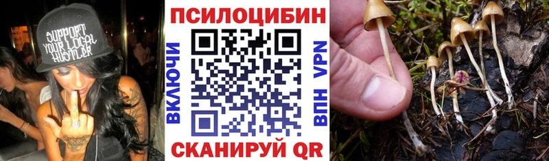 Псилоцибиновые грибы прущие грибы  Лагань 